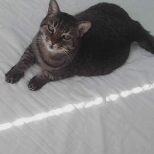 Meet your Posher, Quynh